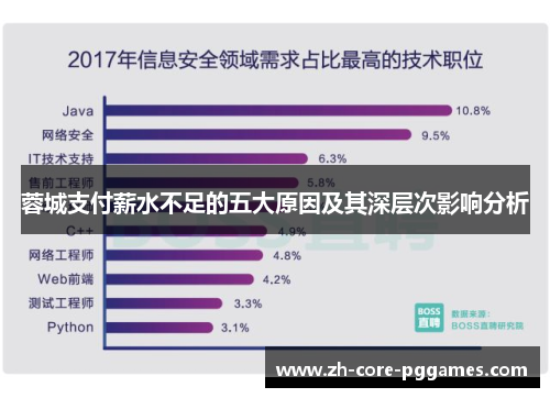 蓉城支付薪水不足的五大原因及其深层次影响分析