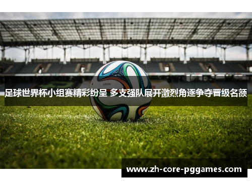 足球世界杯小组赛精彩纷呈 多支强队展开激烈角逐争夺晋级名额