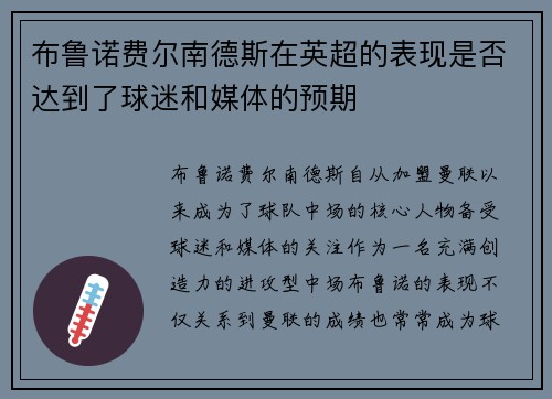 布鲁诺费尔南德斯在英超的表现是否达到了球迷和媒体的预期